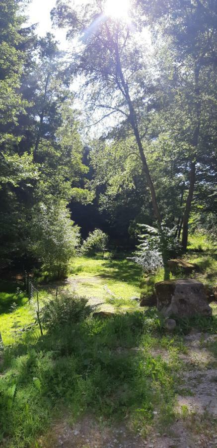 Gite De La Baerenbach Haselbourg Exterior foto